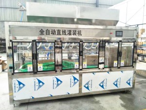 直線蘑菇视频APP下载